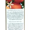 JUST Love- Sicilian Citrus - Image 3